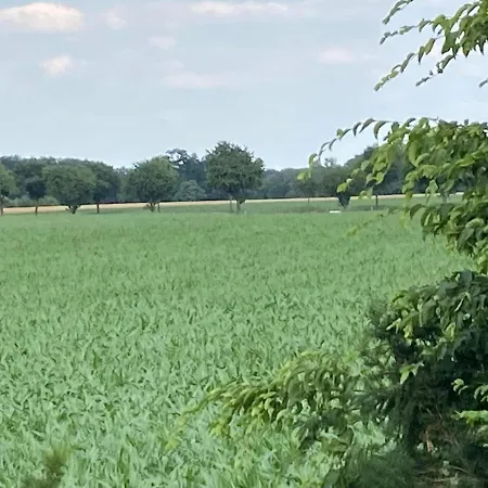 Apartment Grosse Oberwohnung