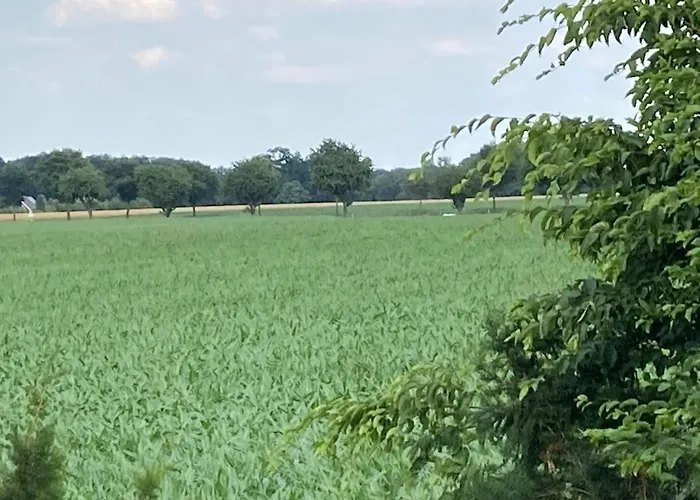 Apartment Grosse Oberwohnung